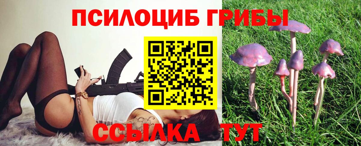 Псилоцибиновые грибы GOLDEN TEACHER Куйбышев