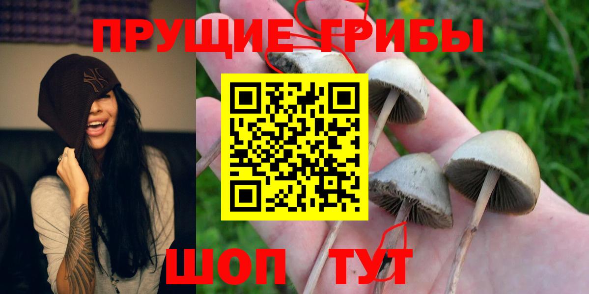 Галлюциногенные грибы Magic Shrooms  Вход с VPN  Куйбышев 